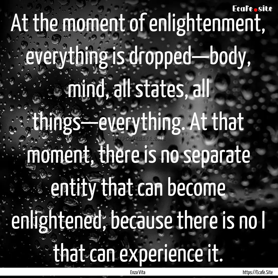 At the moment of enlightenment, everything.... : Quote by Enza Vita