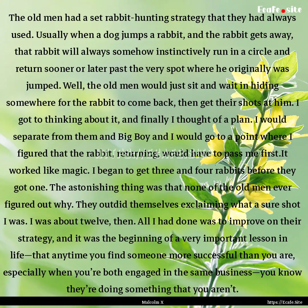 The old men had a set rabbit-hunting strategy.... : Quote by Malcolm X