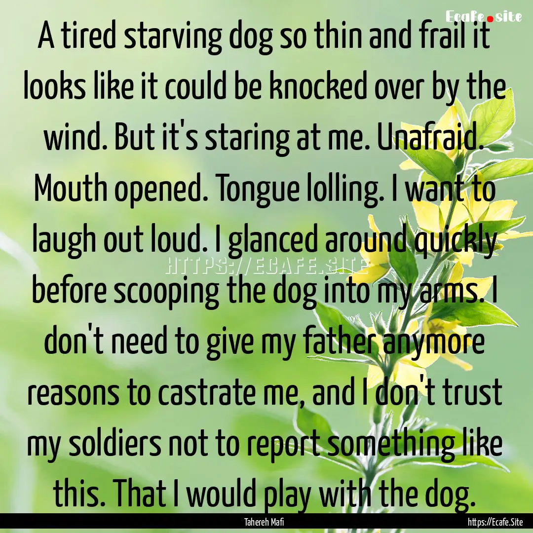 A tired starving dog so thin and frail it.... : Quote by Tahereh Mafi