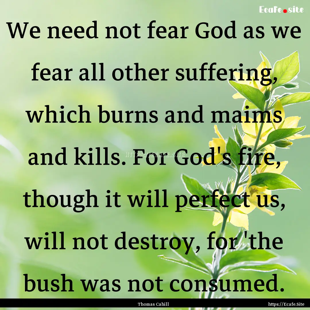 We need not fear God as we fear all other.... : Quote by Thomas Cahill