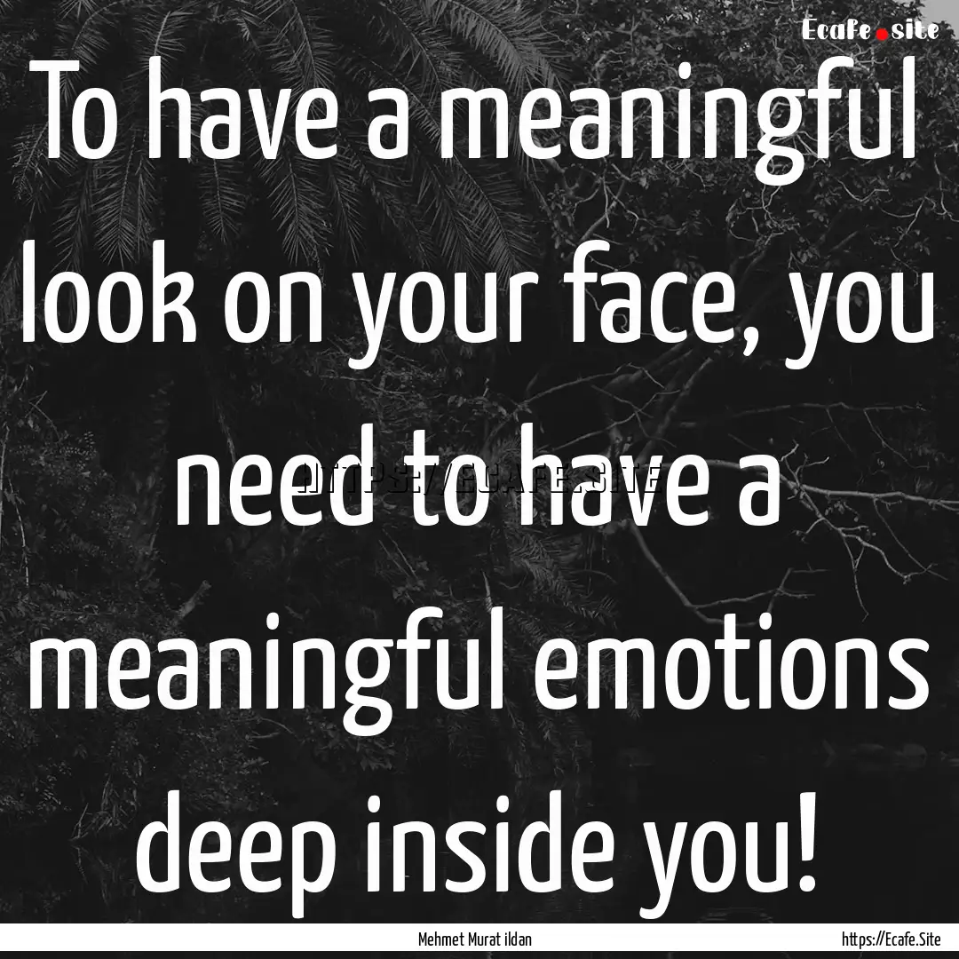 To have a meaningful look on your face, you.... : Quote by Mehmet Murat ildan