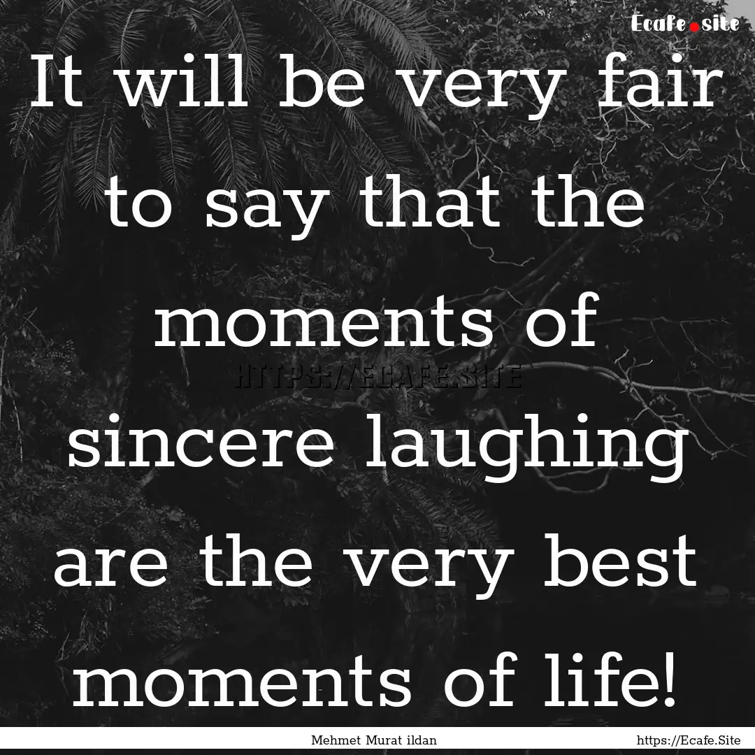 It will be very fair to say that the moments.... : Quote by Mehmet Murat ildan