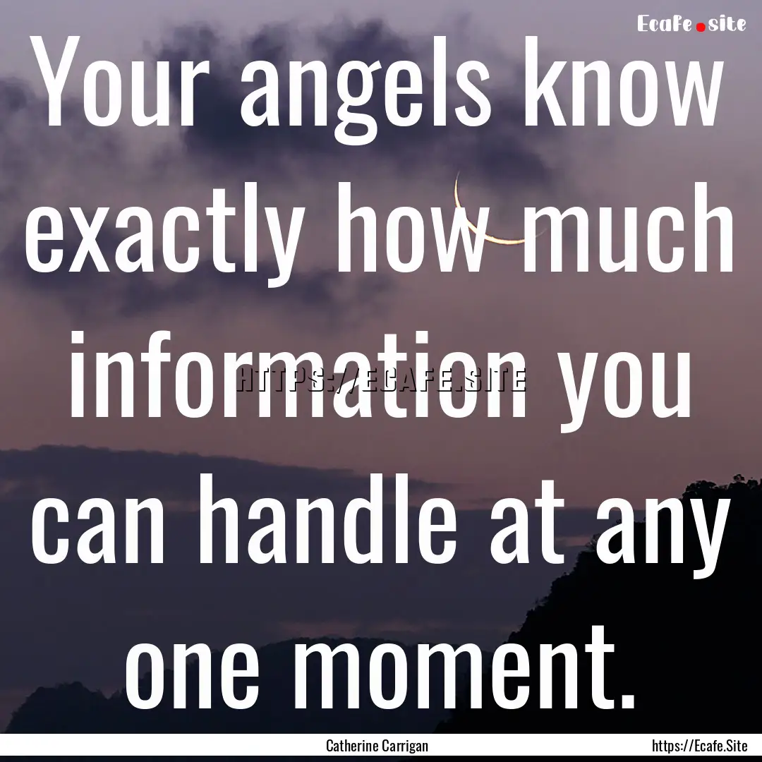 Your angels know exactly how much information.... : Quote by Catherine Carrigan