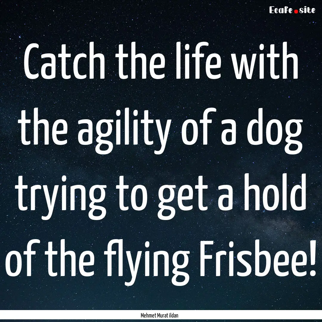 Catch the life with the agility of a dog.... : Quote by Mehmet Murat ildan