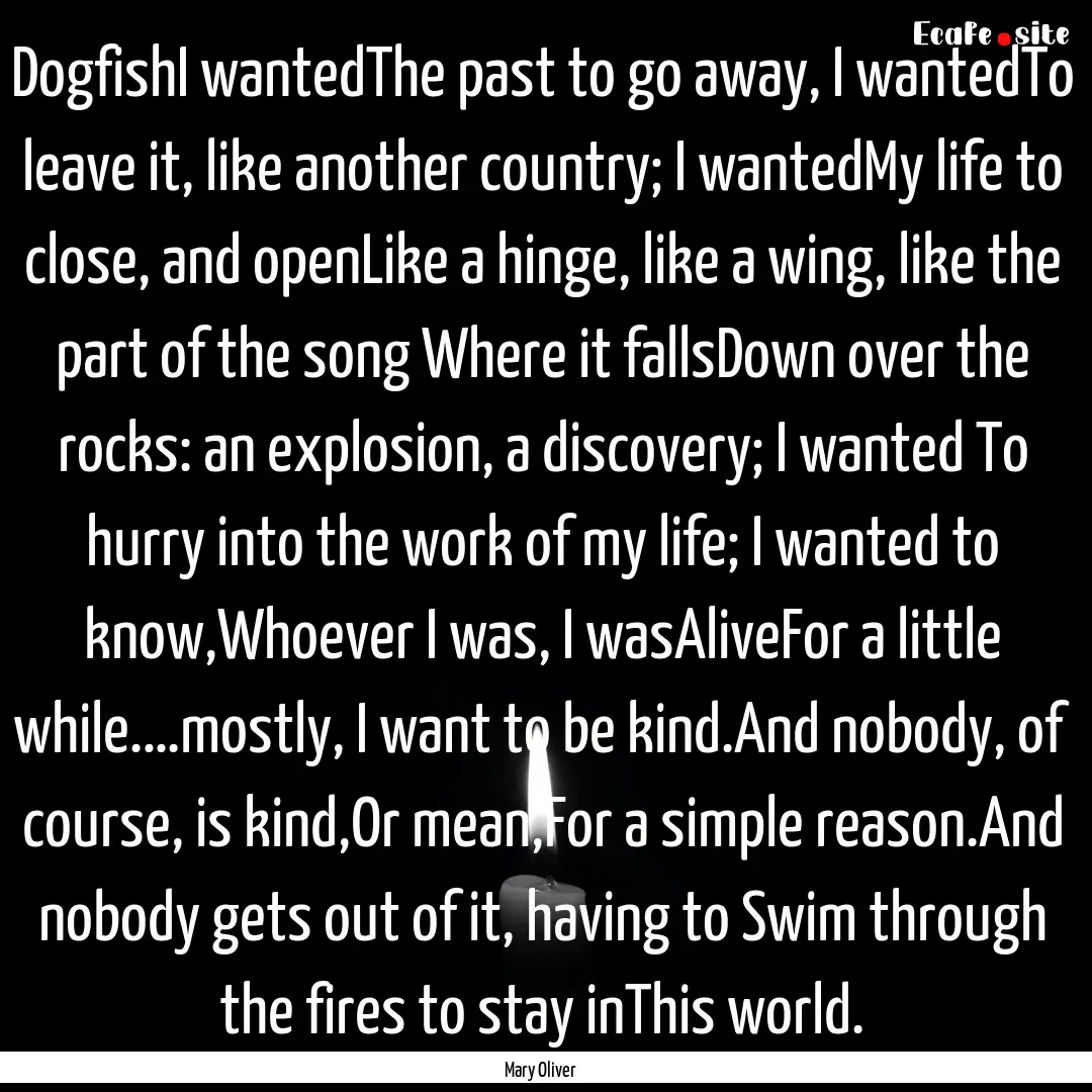 DogfishI wantedThe past to go away, I wantedTo.... : Quote by Mary Oliver