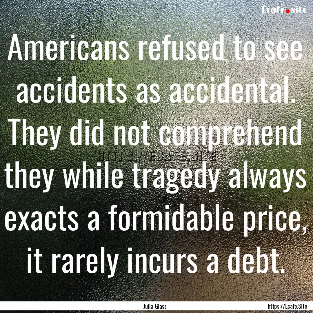 Americans refused to see accidents as accidental..... : Quote by Julia Glass