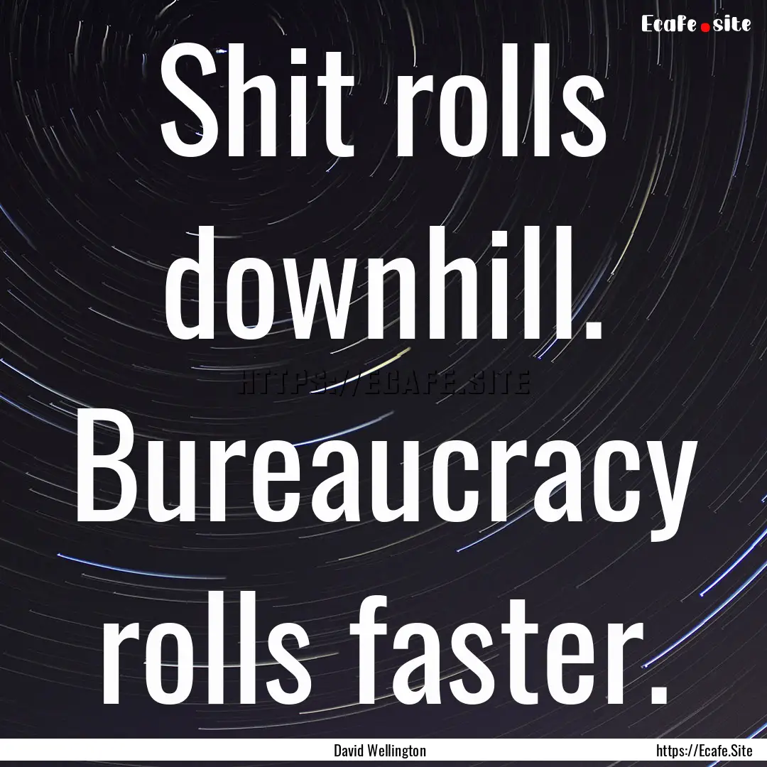 Shit rolls downhill. Bureaucracy rolls faster..... : Quote by David Wellington