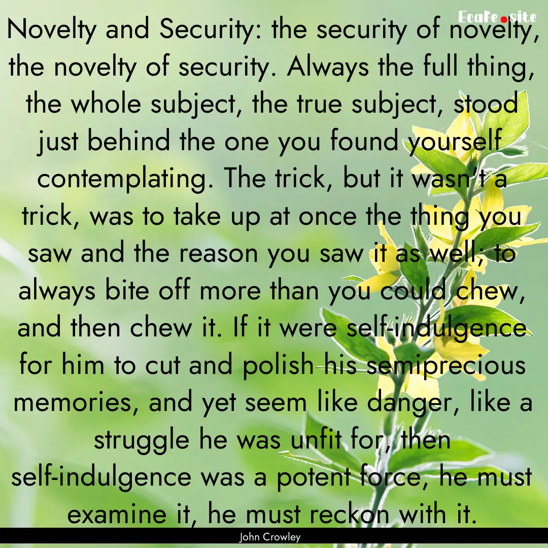 Novelty and Security: the security of novelty,.... : Quote by John Crowley