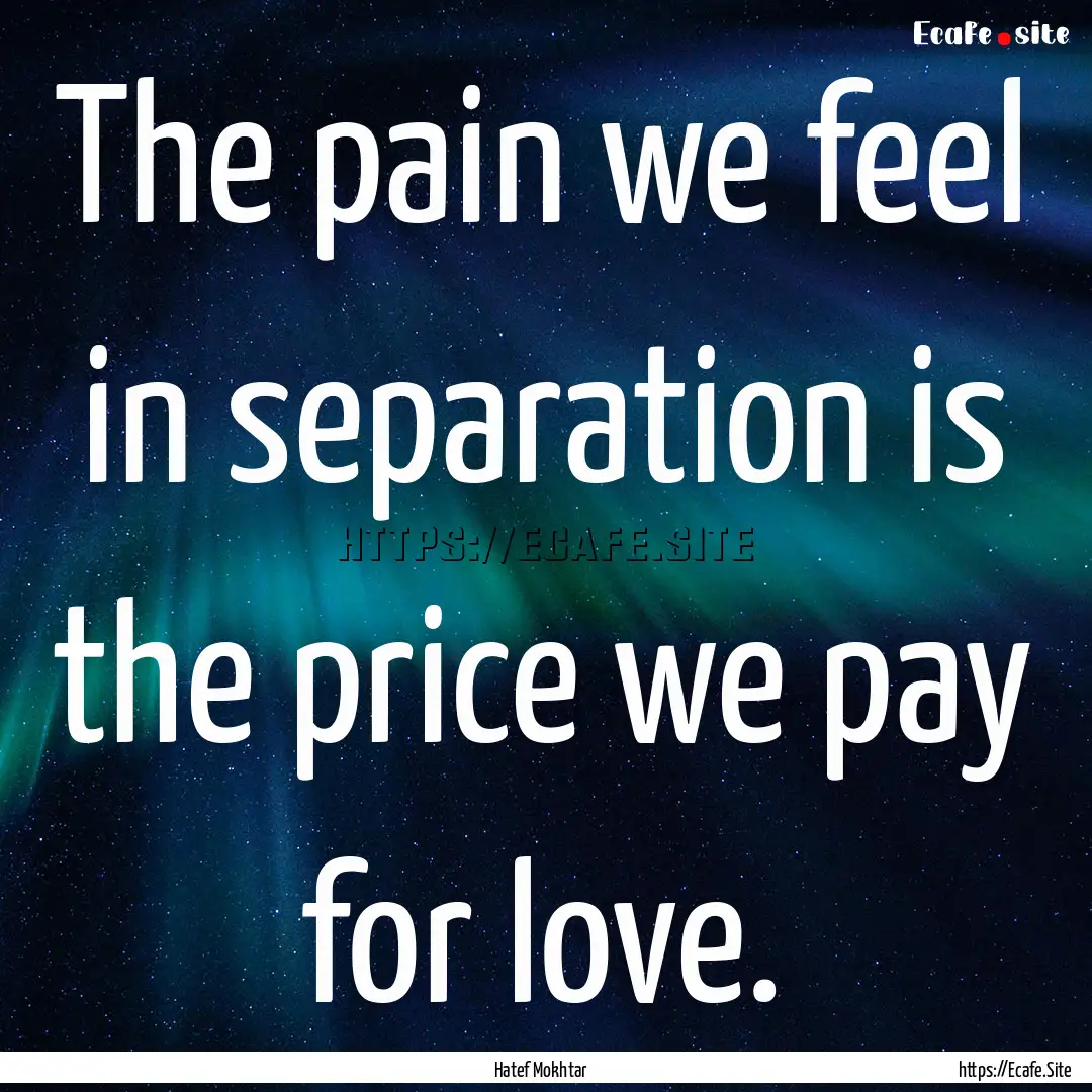 The pain we feel in separation is the price.... : Quote by Hatef Mokhtar