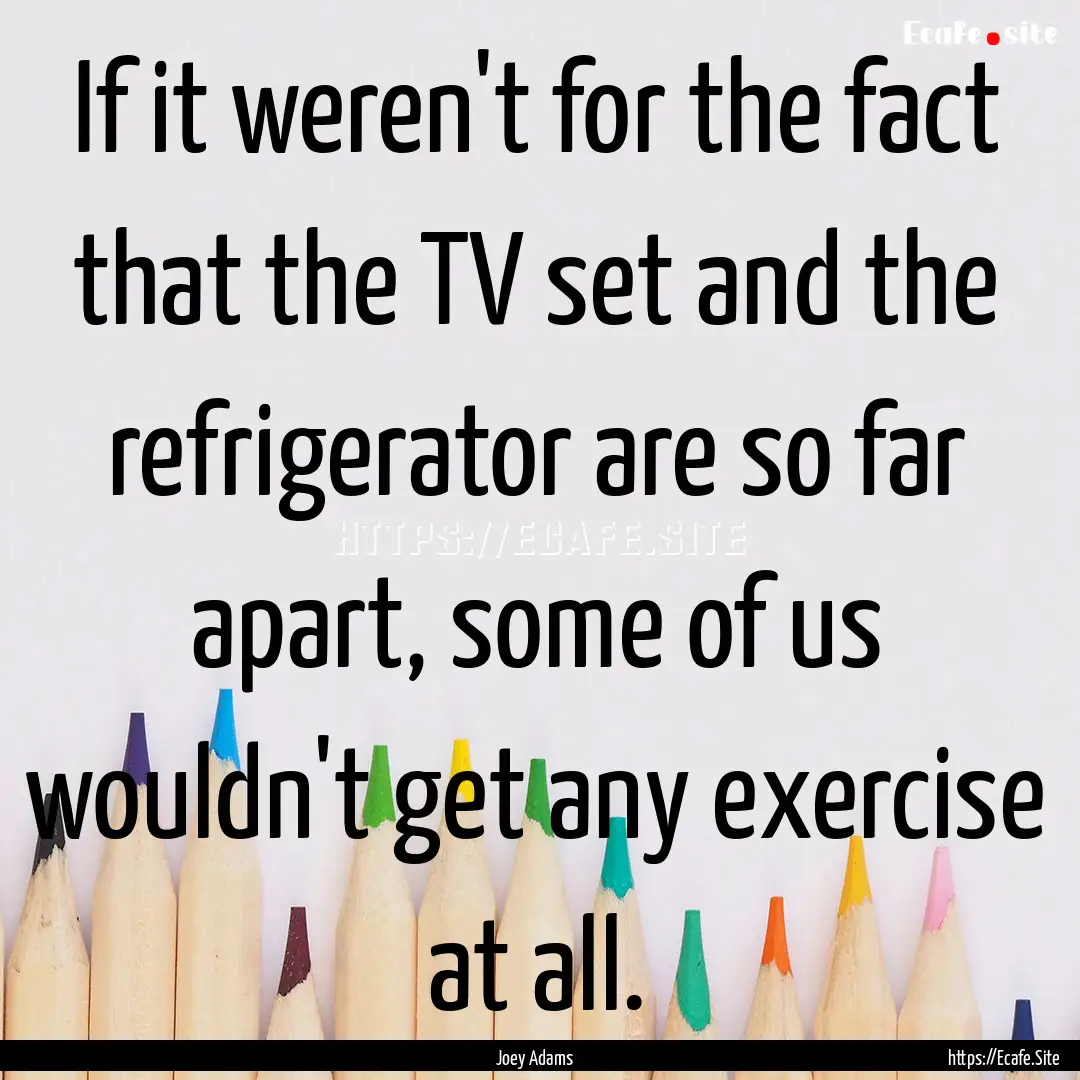 If it weren't for the fact that the TV set.... : Quote by Joey Adams