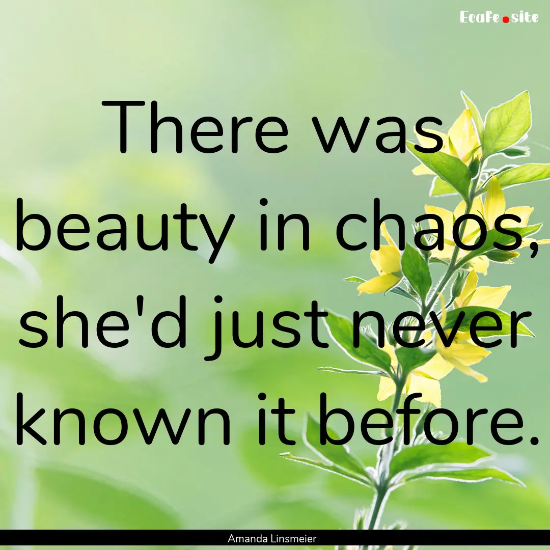 There was beauty in chaos, she'd just never.... : Quote by Amanda Linsmeier