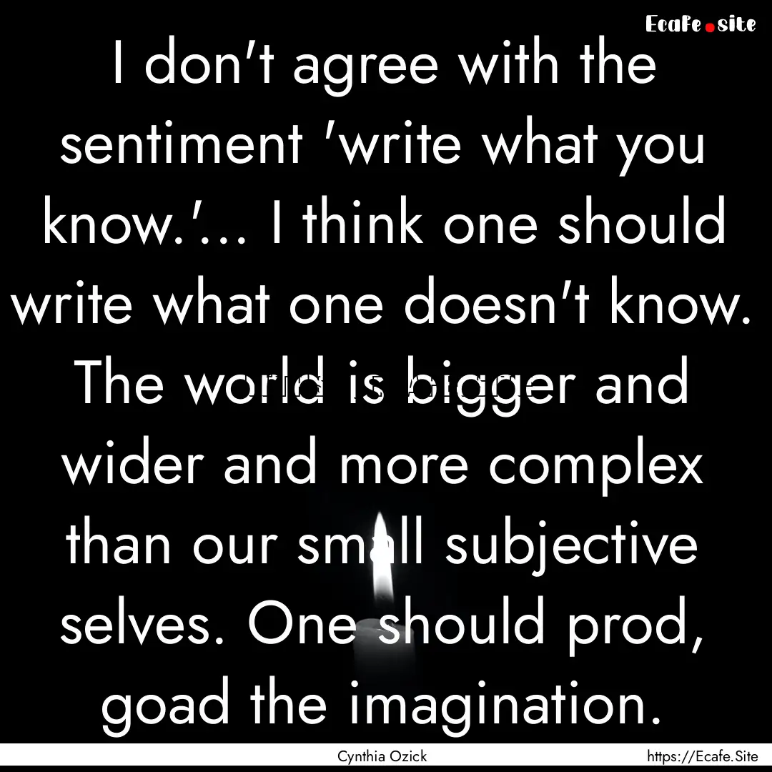 I don't agree with the sentiment 'write what.... : Quote by Cynthia Ozick