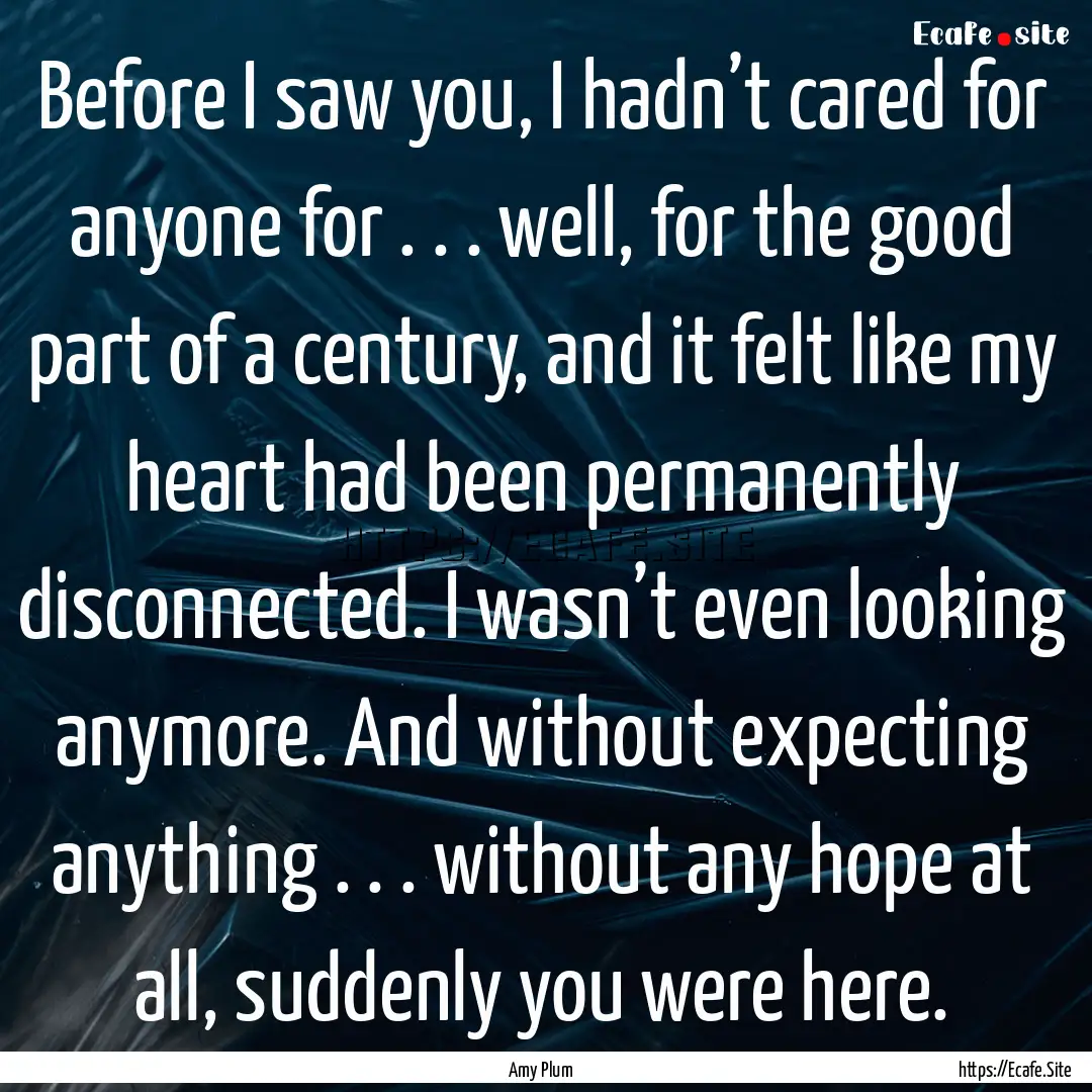 Before I saw you, I hadn’t cared for anyone.... : Quote by Amy Plum