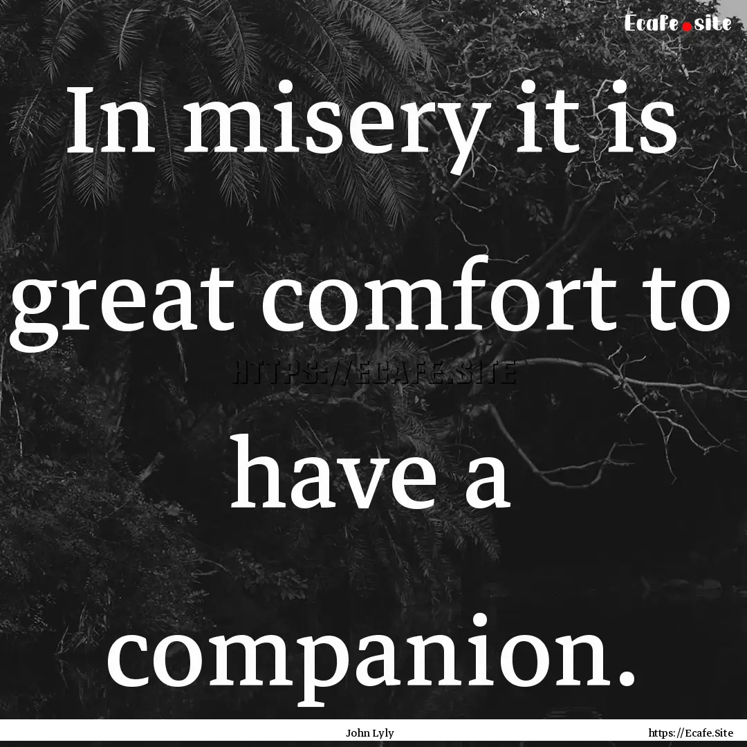 In misery it is great comfort to have a companion..... : Quote by John Lyly