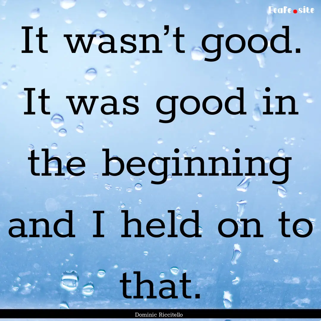 It wasn’t good. It was good in the beginning.... : Quote by Dominic Riccitello