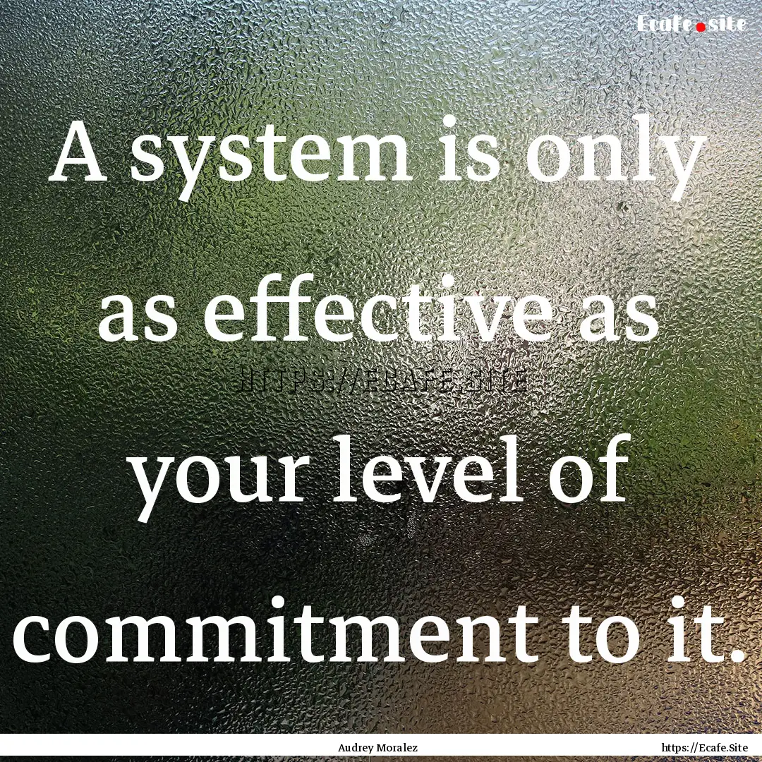 A system is only as effective as your level.... : Quote by Audrey Moralez