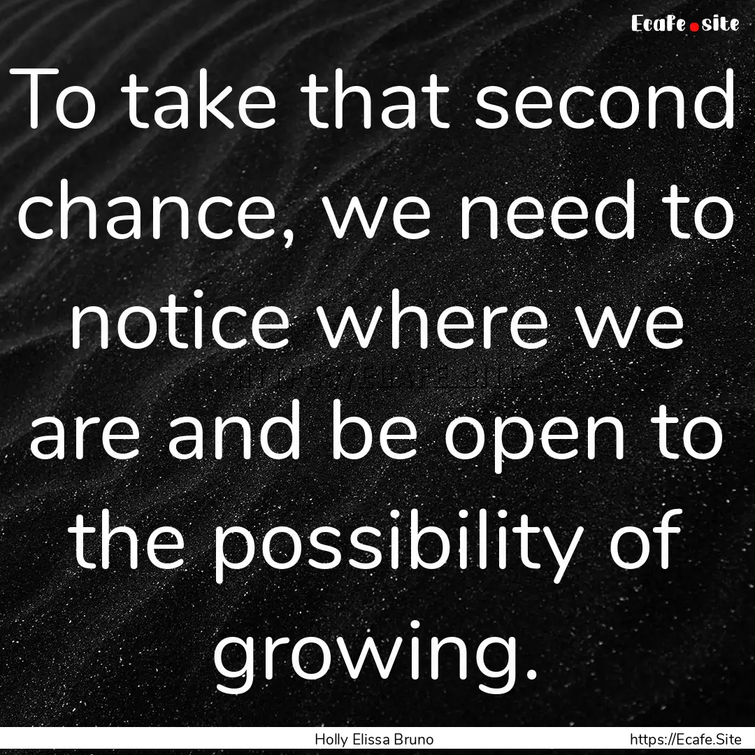 To take that second chance, we need to notice.... : Quote by Holly Elissa Bruno