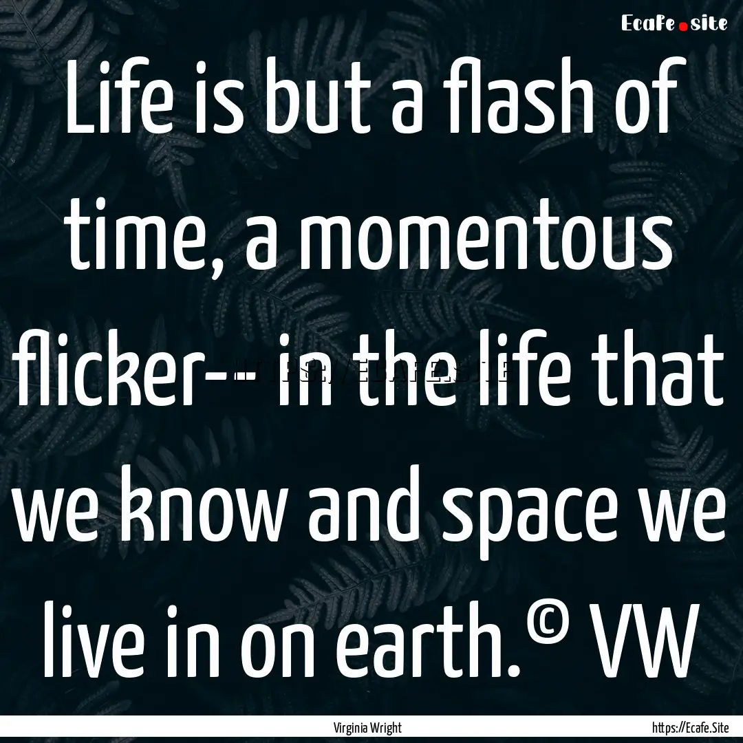 Life is but a flash of time, a momentous.... : Quote by Virginia Wright