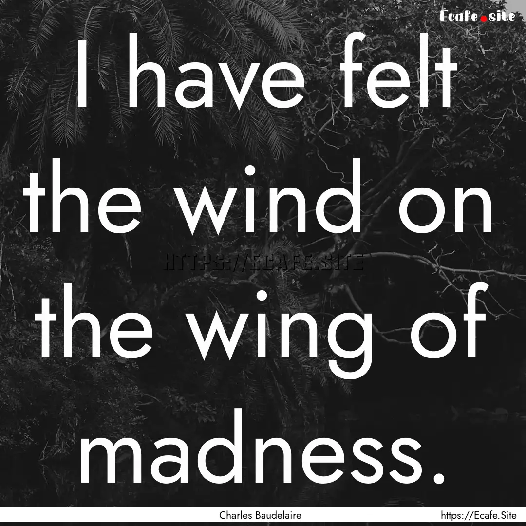 I have felt the wind on the wing of madness..... : Quote by Charles Baudelaire