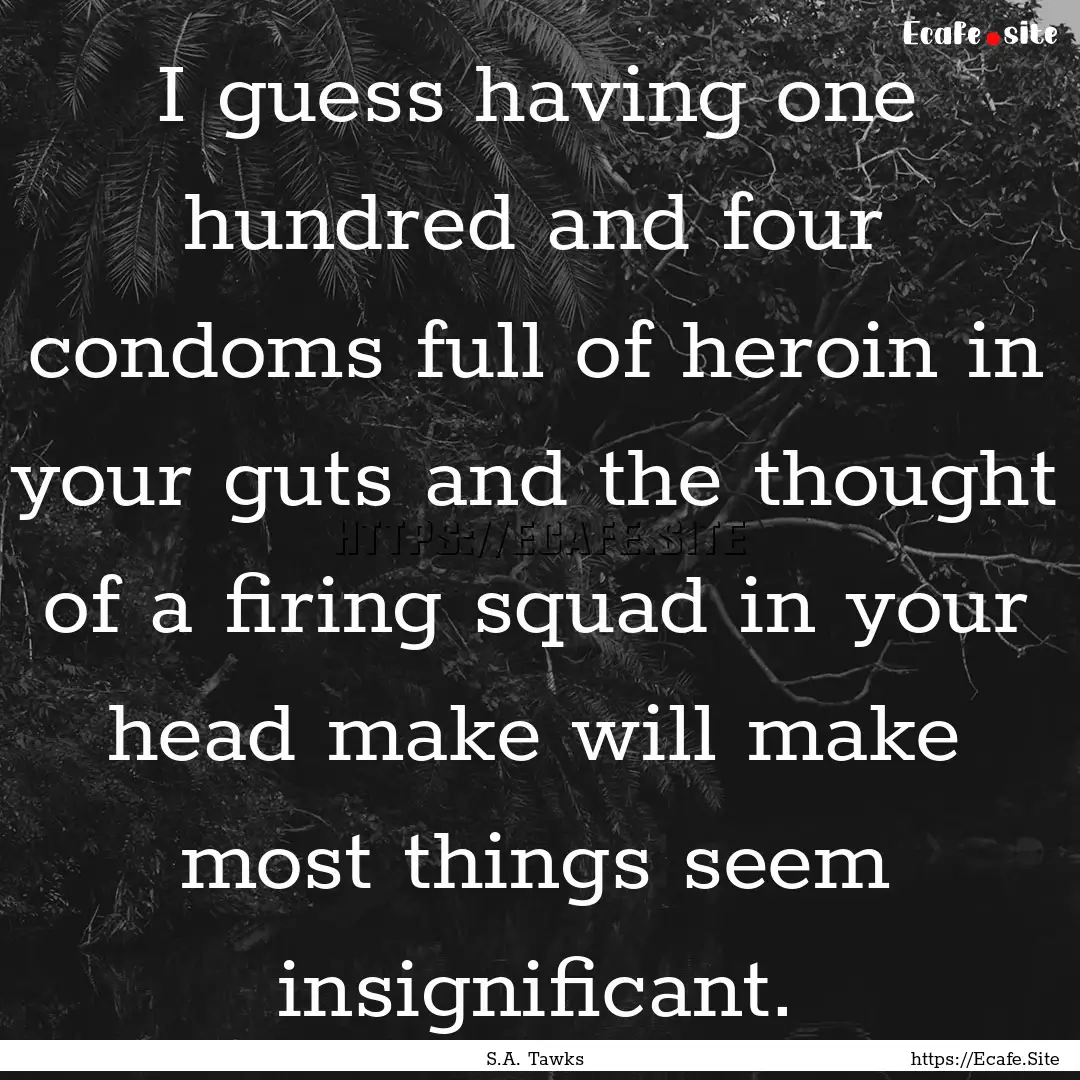 I guess having one hundred and four condoms.... : Quote by S.A. Tawks