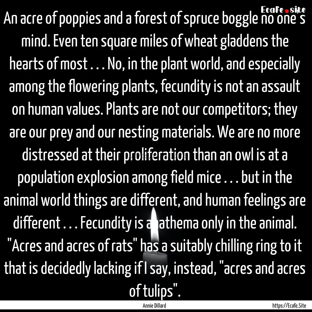 An acre of poppies and a forest of spruce.... : Quote by Annie Dillard