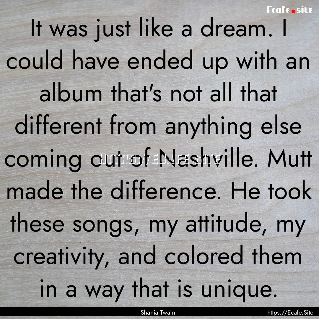 It was just like a dream. I could have ended.... : Quote by Shania Twain