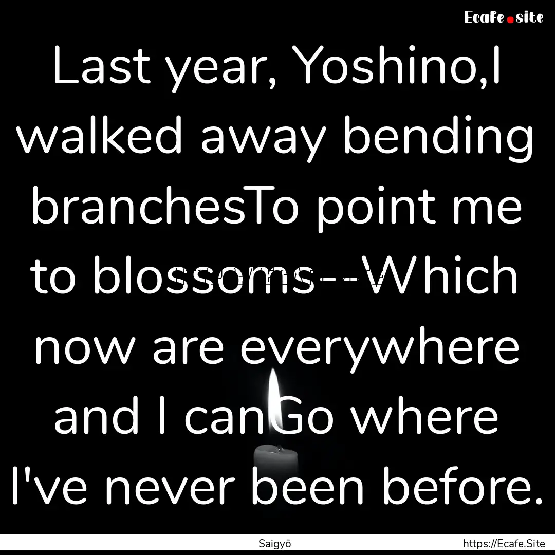 Last year, Yoshino,I walked away bending.... : Quote by Saigyō