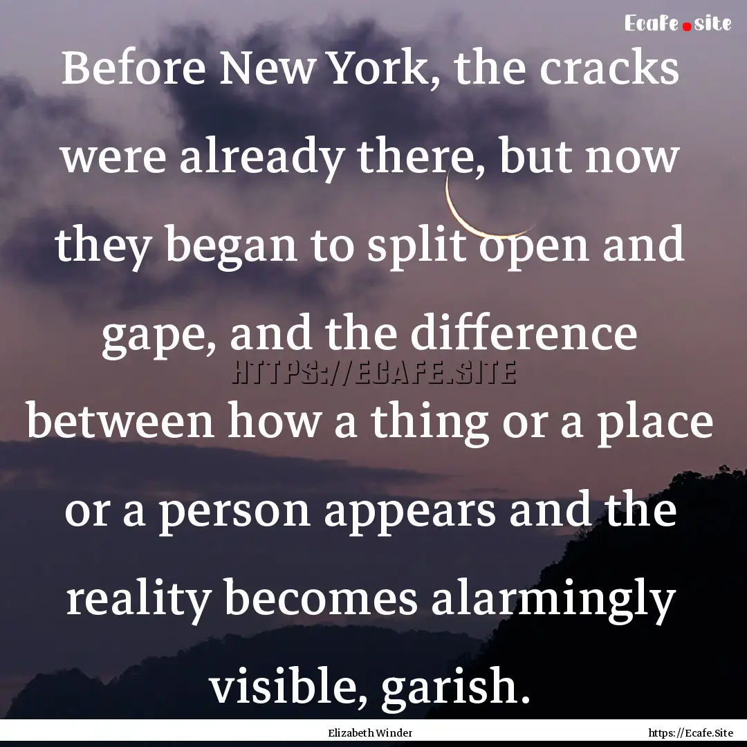 Before New York, the cracks were already.... : Quote by Elizabeth Winder