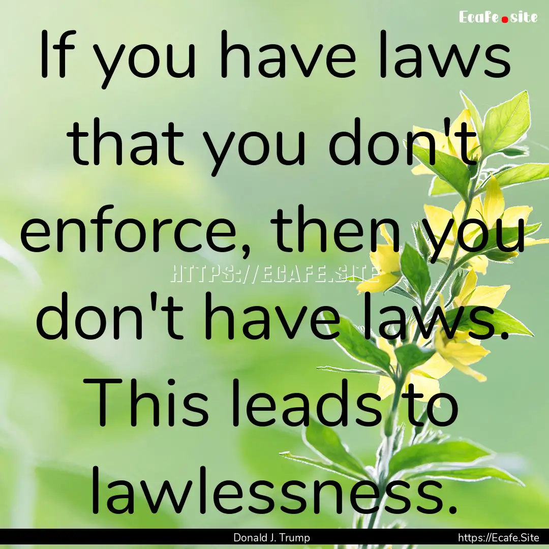 If you have laws that you don't enforce,.... : Quote by Donald J. Trump