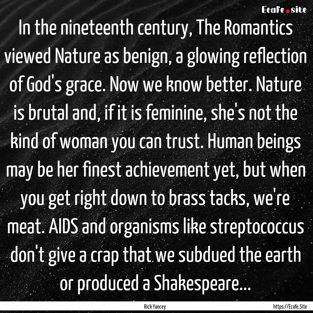 In the nineteenth century, The Romantics.... : Quote by Rick Yancey