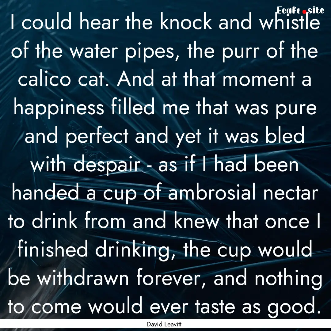 I could hear the knock and whistle of the.... : Quote by David Leavitt