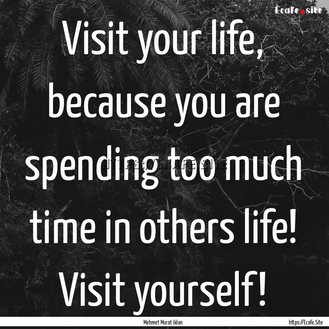 Visit your life, because you are spending.... : Quote by Mehmet Murat ildan