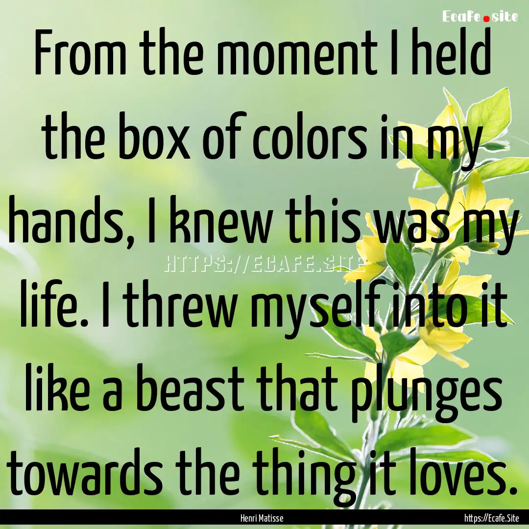 From the moment I held the box of colors.... : Quote by Henri Matisse