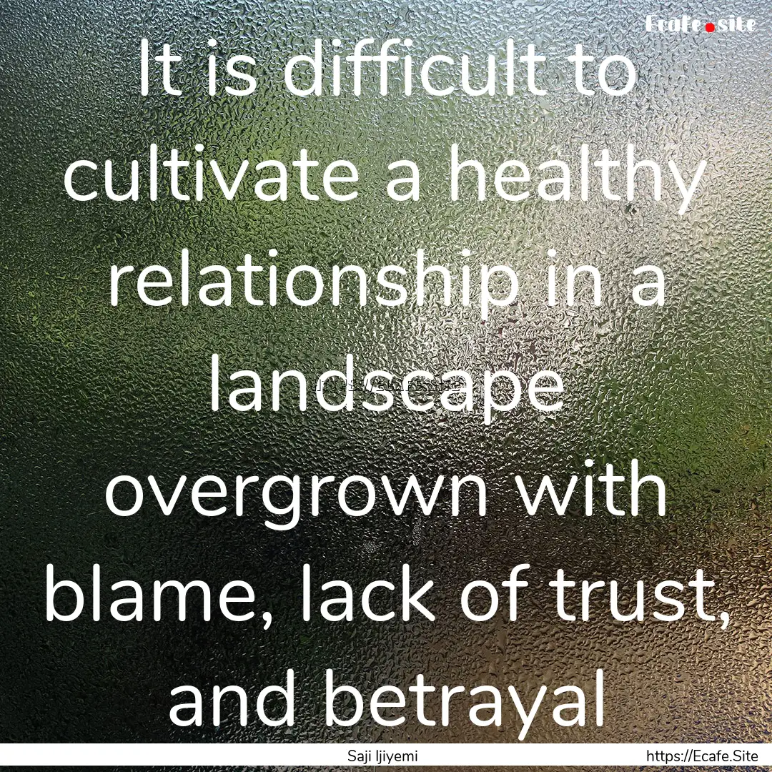 It is difficult to cultivate a healthy relationship.... : Quote by Saji Ijiyemi