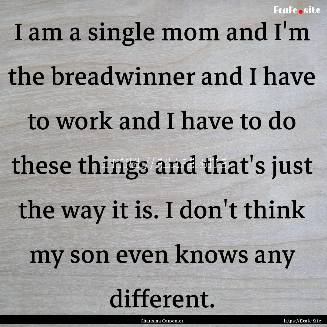 I am a single mom and I'm the breadwinner.... : Quote by Charisma Carpenter