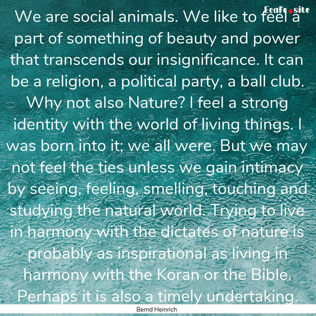 We are social animals. We like to feel a.... : Quote by Bernd Heinrich