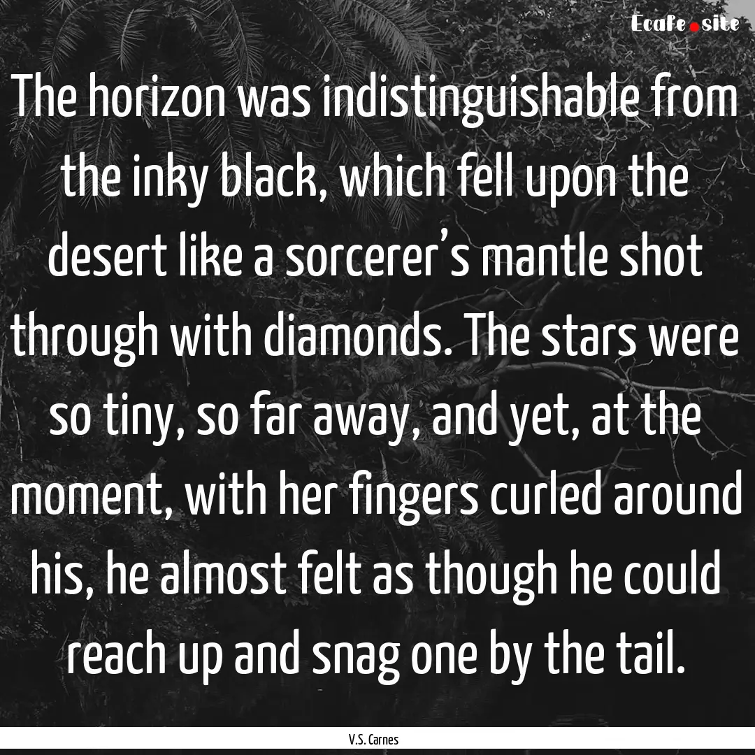 The horizon was indistinguishable from the.... : Quote by V.S. Carnes