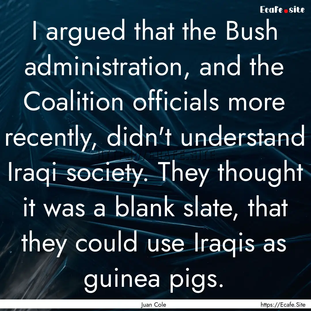 I argued that the Bush administration, and.... : Quote by Juan Cole