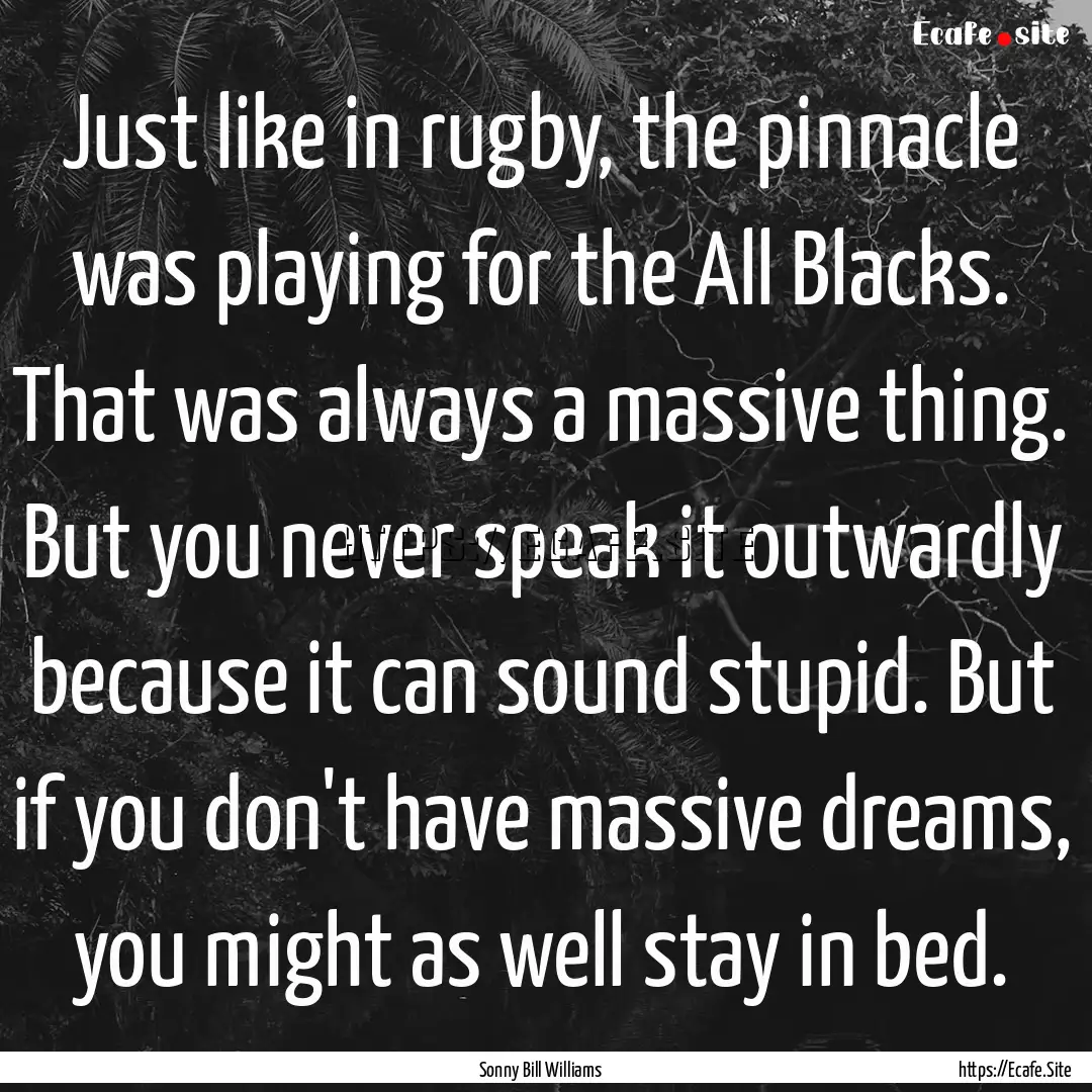 Just like in rugby, the pinnacle was playing.... : Quote by Sonny Bill Williams