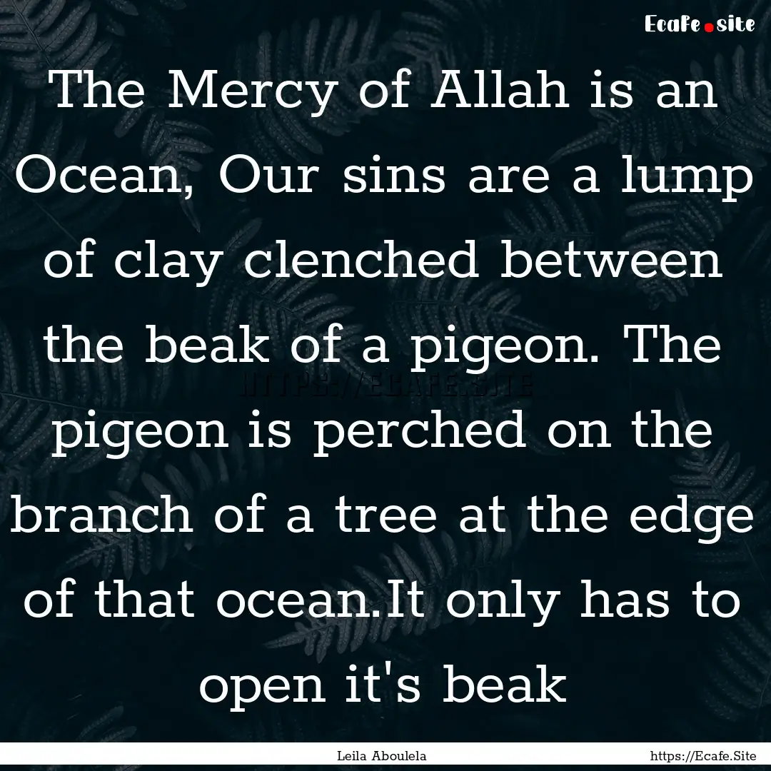 The Mercy of Allah is an Ocean, Our sins.... : Quote by Leila Aboulela