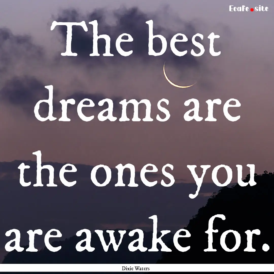 The best dreams are the ones you are awake.... : Quote by Dixie Waters