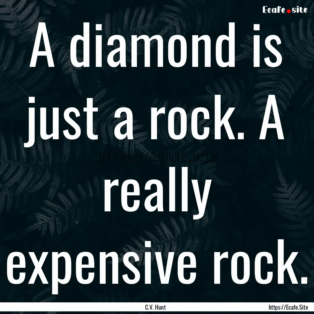 A diamond is just a rock. A really expensive.... : Quote by C.V. Hunt