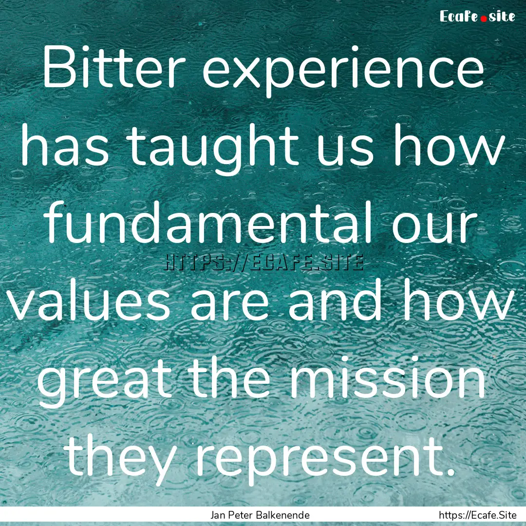 Bitter experience has taught us how fundamental.... : Quote by Jan Peter Balkenende