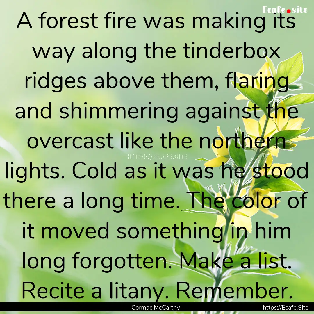 A forest fire was making its way along the.... : Quote by Cormac McCarthy