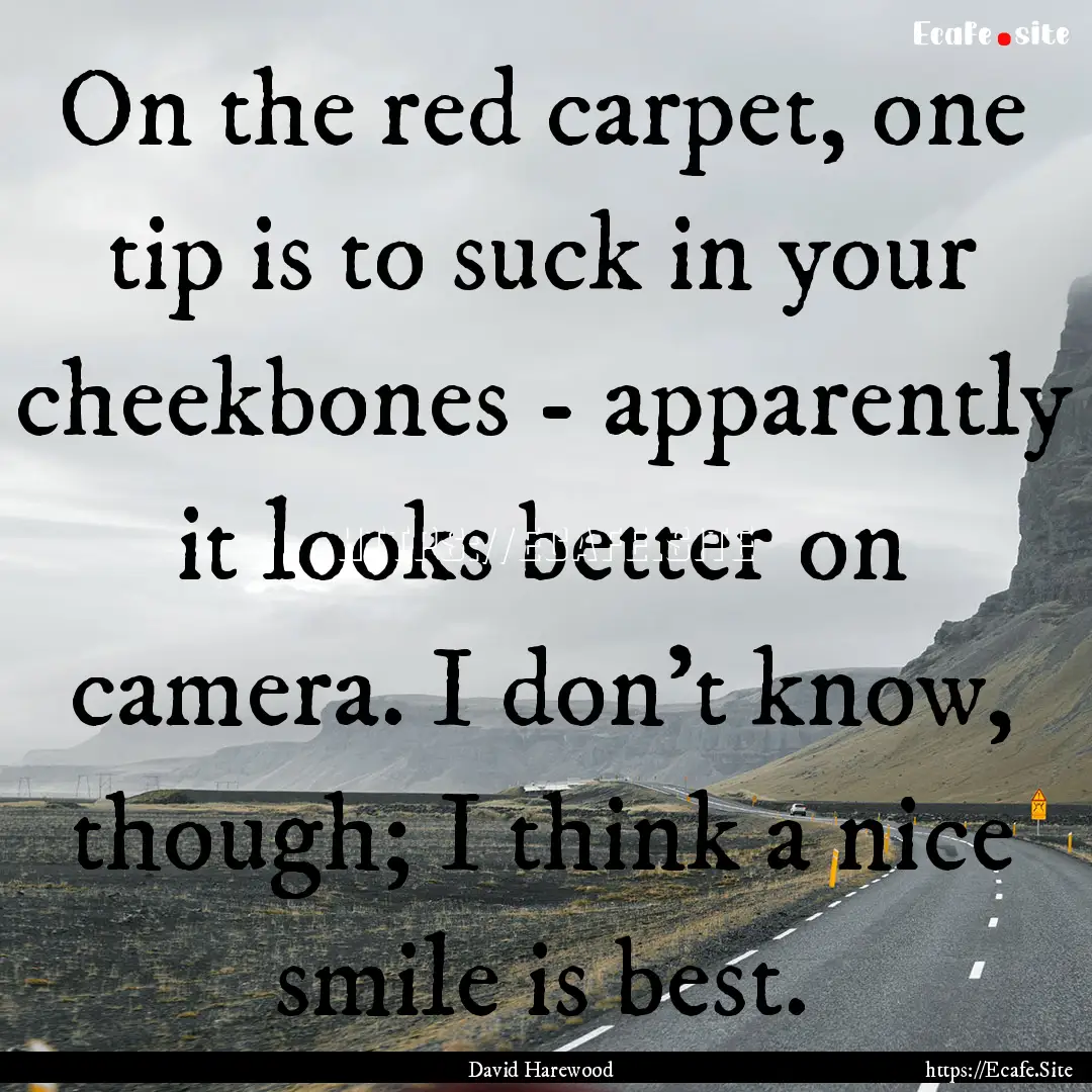 On the red carpet, one tip is to suck in.... : Quote by David Harewood