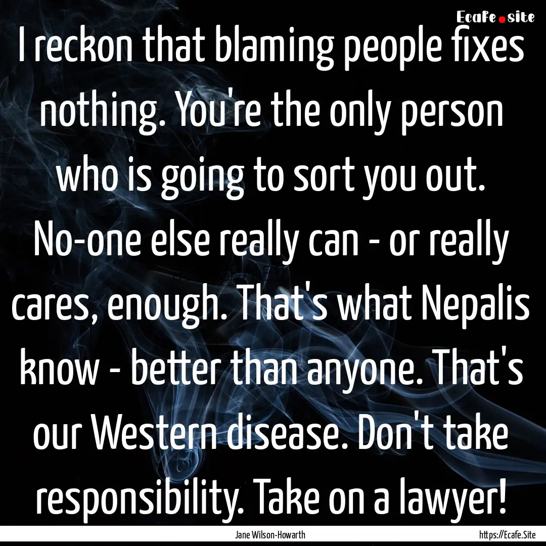 I reckon that blaming people fixes nothing..... : Quote by Jane Wilson-Howarth