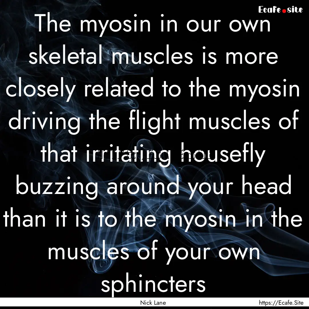 The myosin in our own skeletal muscles is.... : Quote by Nick Lane