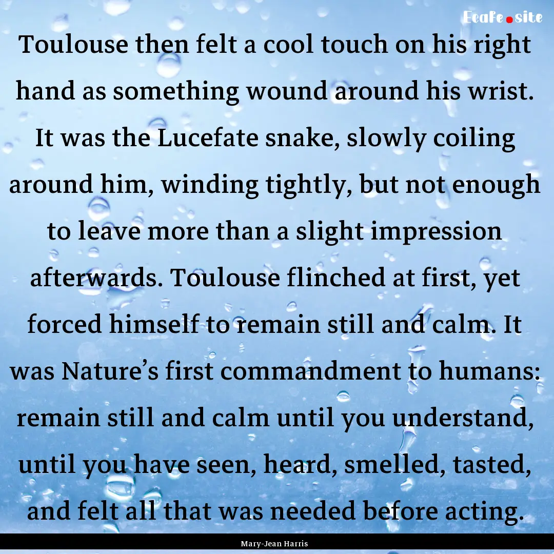 Toulouse then felt a cool touch on his right.... : Quote by Mary-Jean Harris