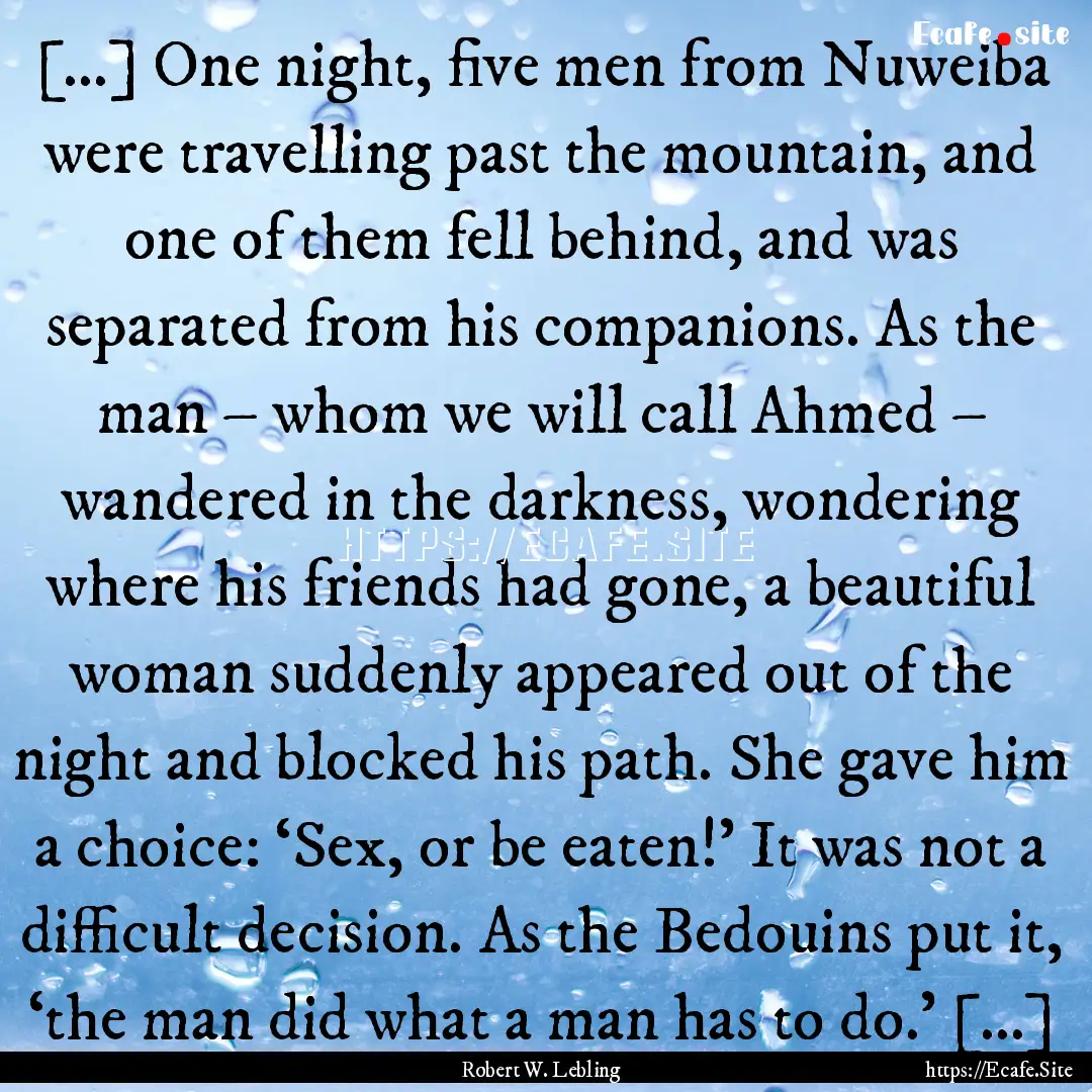 […] One night, five men from Nuweiba were.... : Quote by Robert W. Lebling