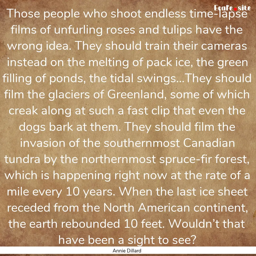 Those people who shoot endless time-lapse.... : Quote by Annie Dillard